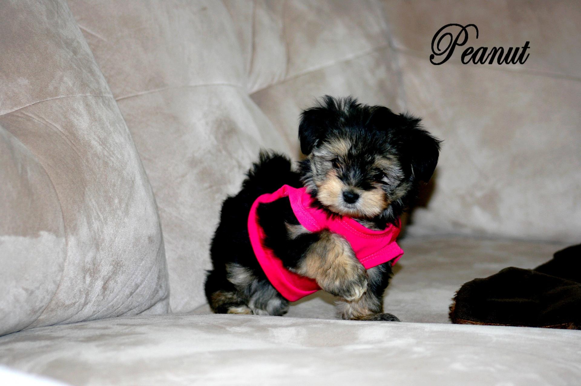 Photos 314
