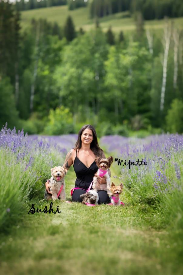 Projet sans nom calque 1 71