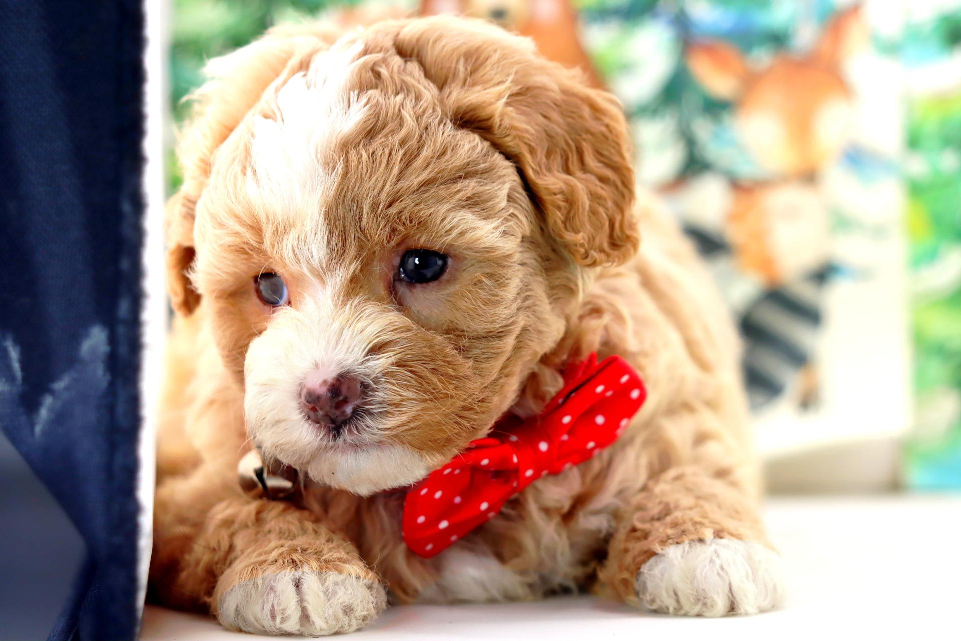 Img 8643